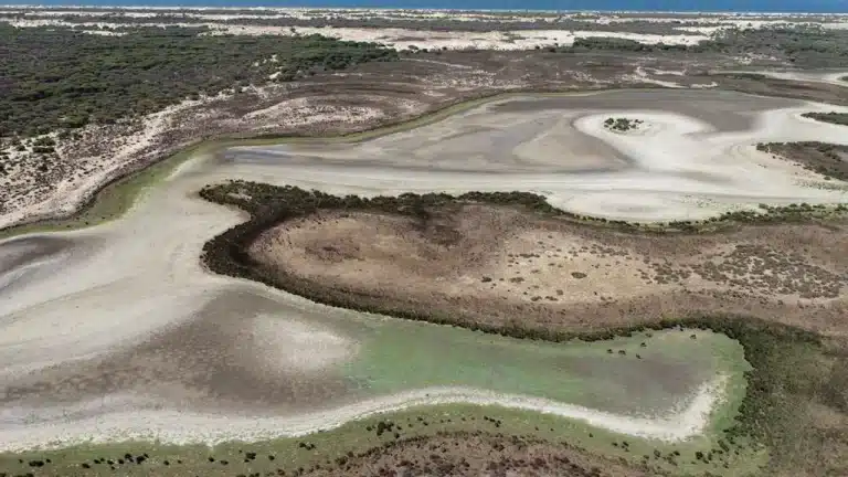 La extinción de Doñana
