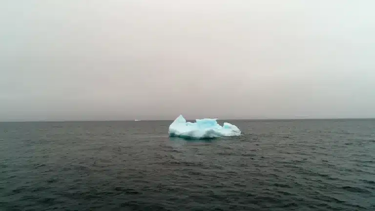El iceberg que se desplaza por mar abierto después de 20 años