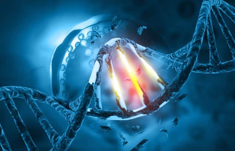 La inmunonutrición es clave para las defensas del cuerpo y el control y hasta remisión de enfermedades autoinmunes. Lo explica el Dr. Fernando Ruger Viarengo de UMEBIR
