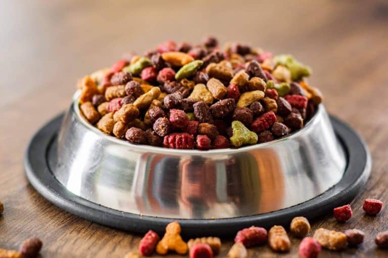 ¿Cómo encontrar el alimento ideal para una mascota?, con la ayuda de Kaman Pet y su sistema de calidad nutricional Kaman Points