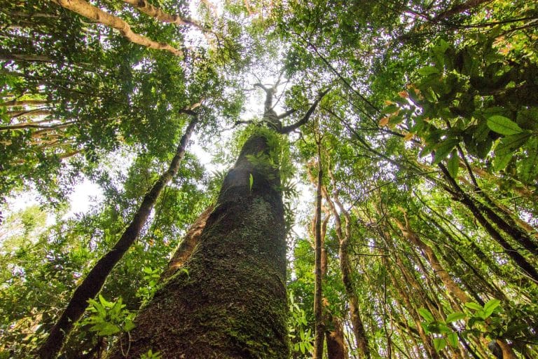 El desarrollo de Chiloé, la isla más grande al sur de Chile