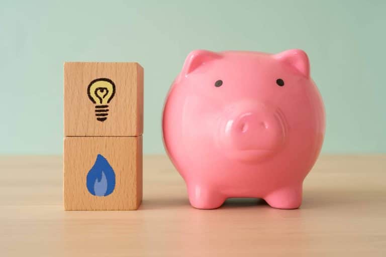 Las principales ventajas e inconvenientes de las tarifas duales de luz y gas