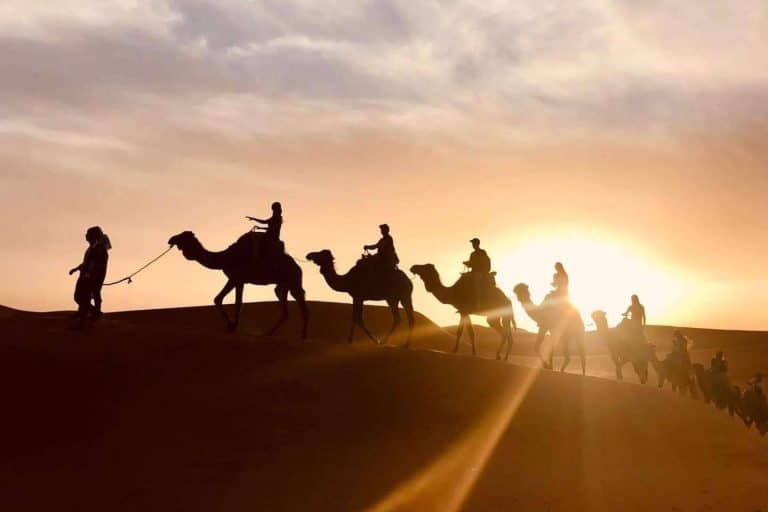 Camel Trekking Tours ofrece excursiones en camello a las dunas de Erg Chebbi