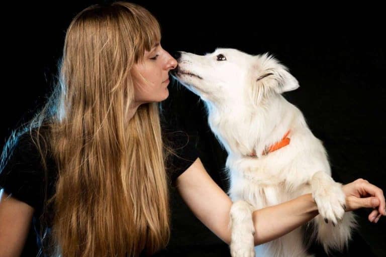 Técnicas y métodos correctivos para perros de la mano de los expertos L’Almozara Can Bosc