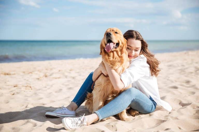 Las razones para optar por la adopción de perros mayores