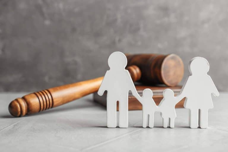 ¿Qué temas abastecen los abogados de familia de Vèrtex?