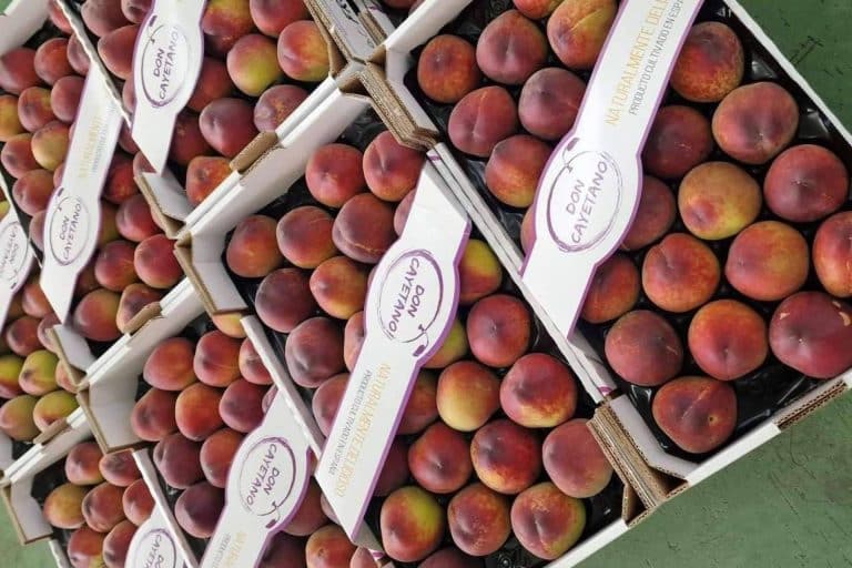 Exportadores de frutas de hueso, Frutas Don Cayetano