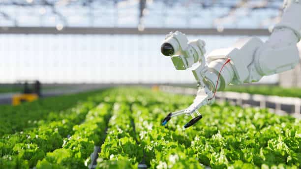 Qué Futuro Nos Espera Con La Ia