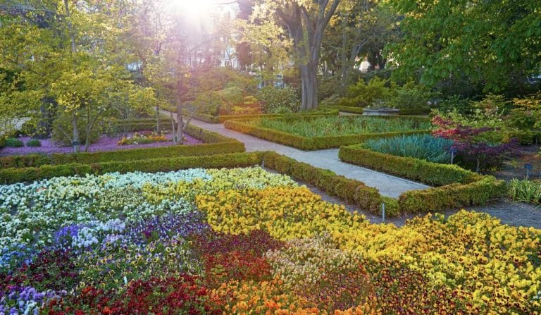 El Jardín Botánico reconoce la labor científica y técnica de sus trabajadores en una exposición
