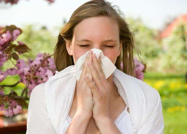 Los mejores trucos para escapar de la alergia estacional de la primavera