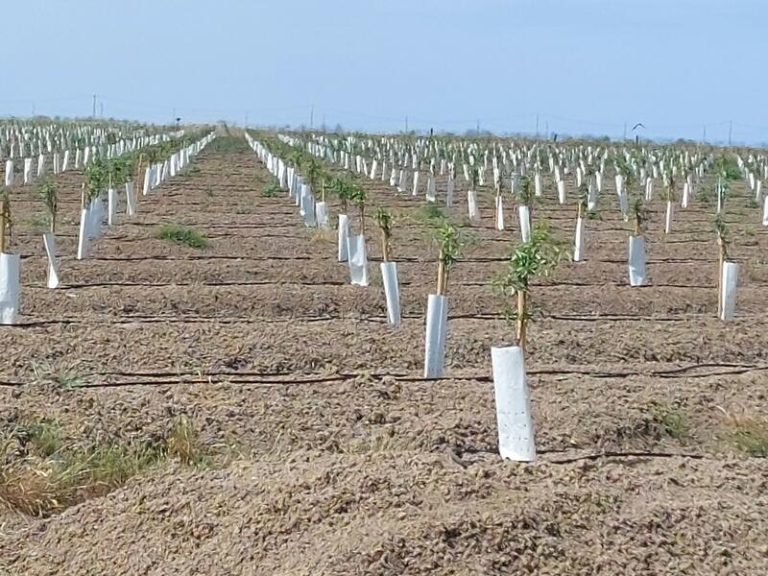 Iratxe García ve «peligroso combatir el conocimiento científico» con «errores» como la legalización de pozos en Doñana