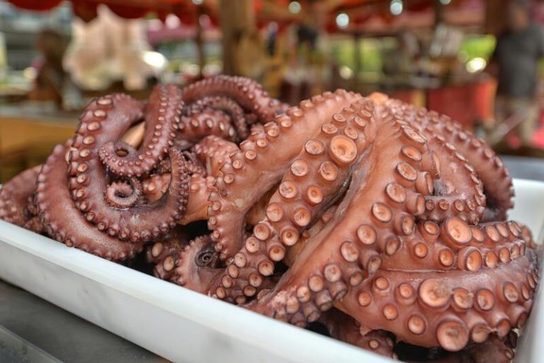 La veda del pulpo arranca este viernes y se extenderá hasta el 3 de julio