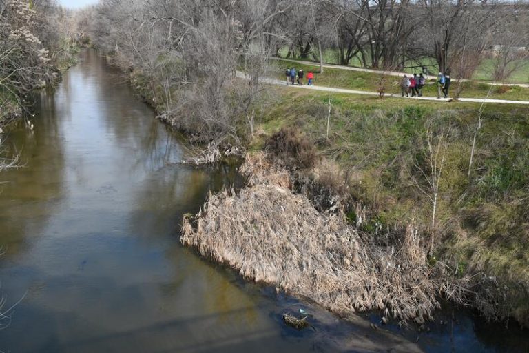 Ecologistas reclaman el cumplimiento de los caudales mínimos ecológicos en los ríos madrileños