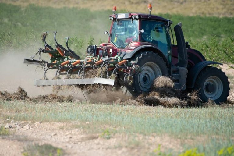 La cosecha de cereales caerá un 48,5% por la sequía, según previsiones de Cooperativas Agro-alimentarias