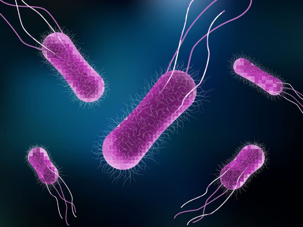 Combate Las Infecciones