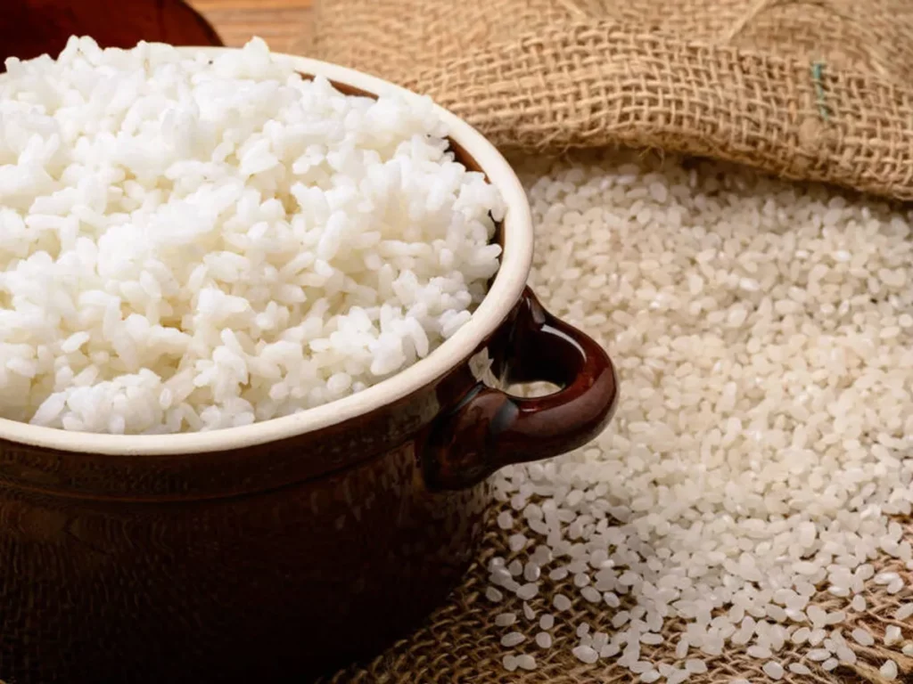 De Grano Corto