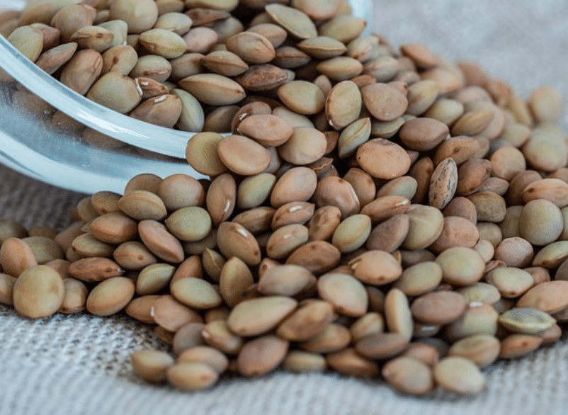 Lentejas Con Espinacas: La Receta Sanísima Que Puedes Hacer En Cinco Minutos