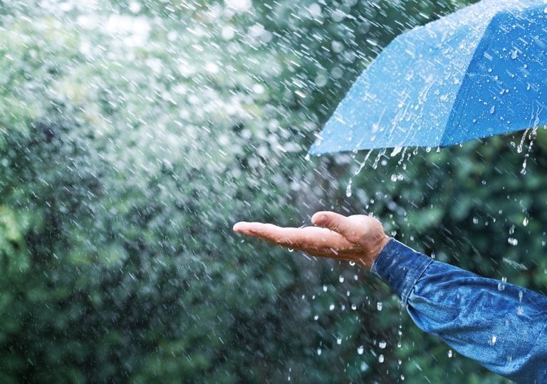 ¿La Lluvia Beneficia O No?