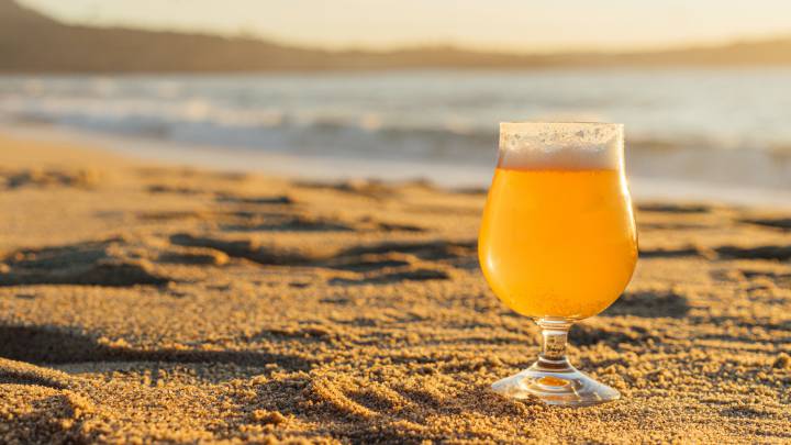 Esto es lo que necesitas para preparar tu propia cerveza artesana en casa