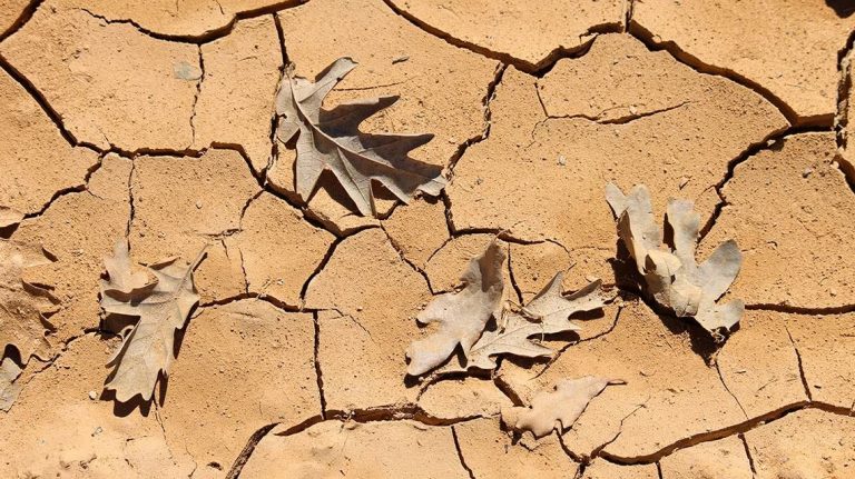 No, las lluvias torrenciales no «solucionan» la sequía que sufre España