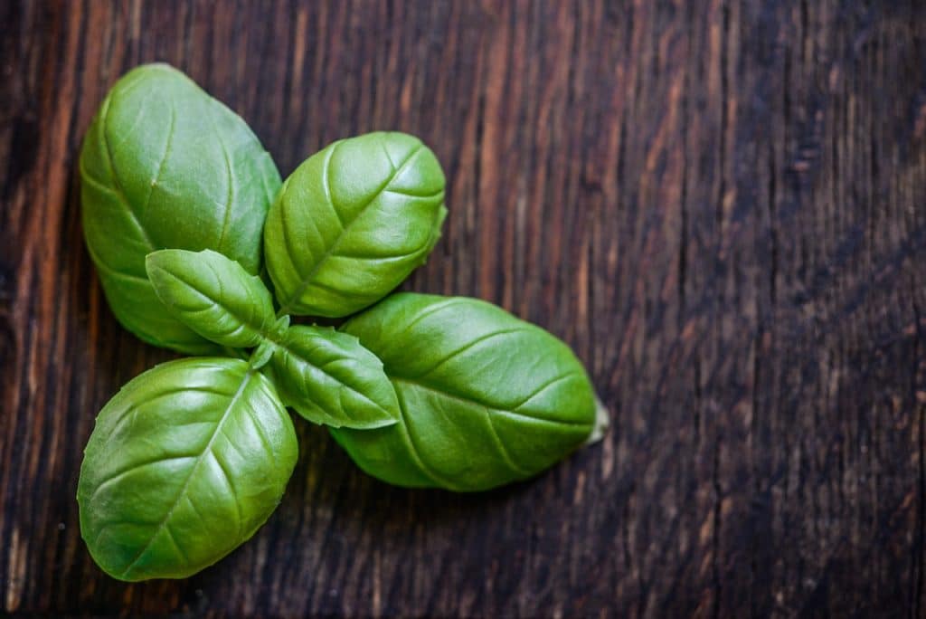 Usa Albahaca
