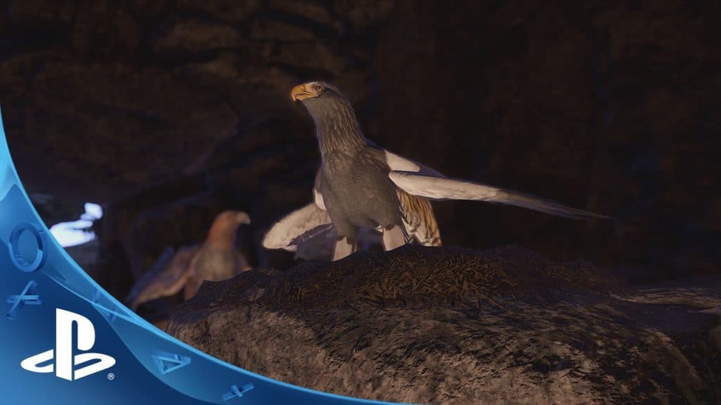 Wander – Ps4