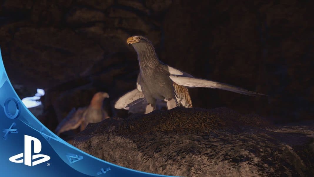 Wander – Ps4