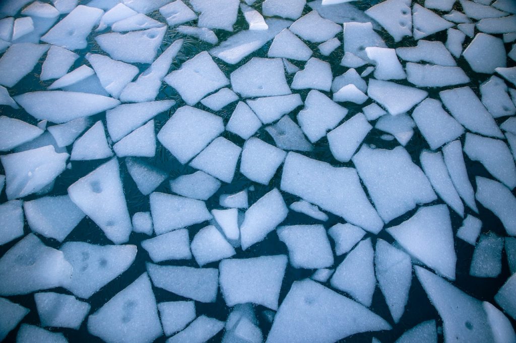 El Hielo También Merece La Pena
