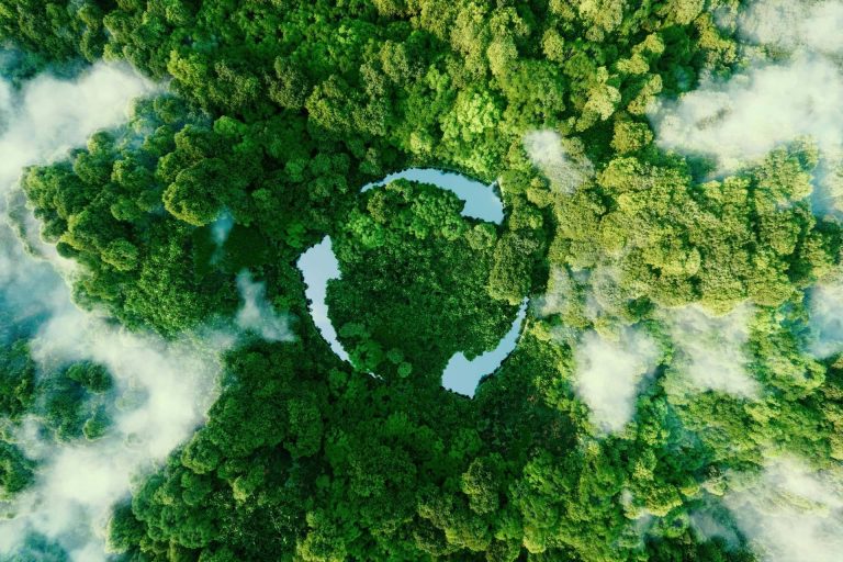 Noticias Ambientales es una plataforma que se especializa en noticias sobre sustentabilidad