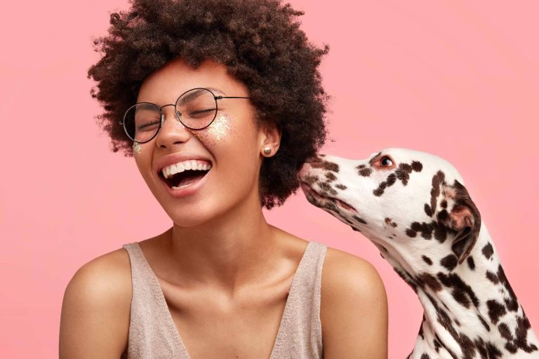 ¿Por qué hay que asegurar a las mascotas y cómo conseguir el cupón descuento de seguros Barbiku?