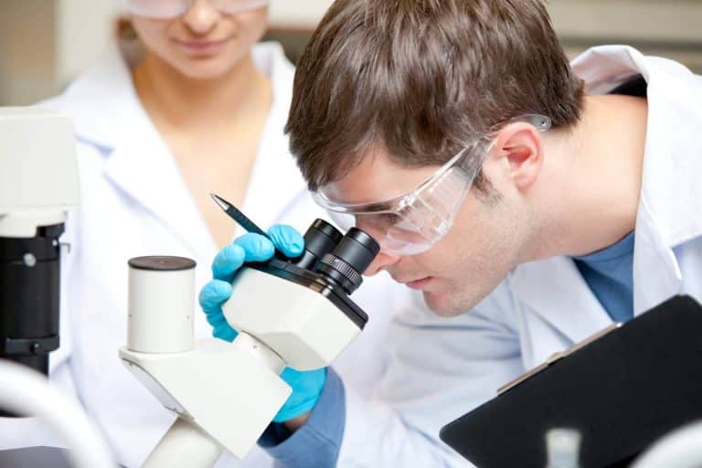 Todos los requisitos para estudiar laboratorio clínico y biomédico, por EEP iGroup