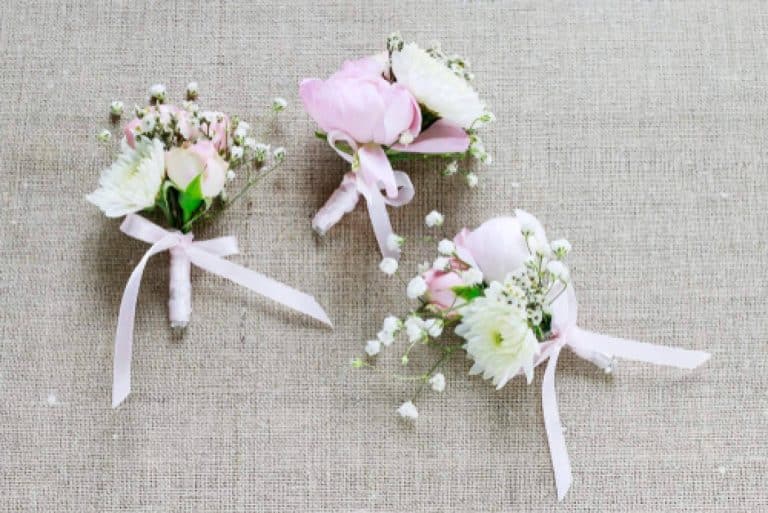 Paniculata blanca y de colores, teñidas por los profesionales de Rosistirem