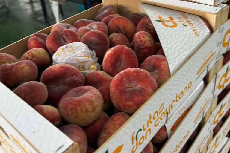 Don Cayetano, una compañía murciana experta en el manipulado y envasado de frutas