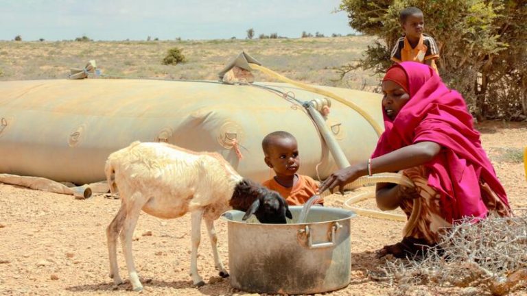 África y las crisis futuras del hambre que vienen