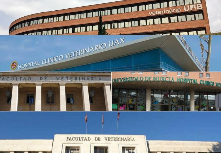 Las 5 mejores universidades para estudiar veterinaria en España