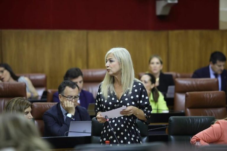 Gobierno andaluz defiende la comprensión lectora como «motor» de la mejora de los resultados académicos