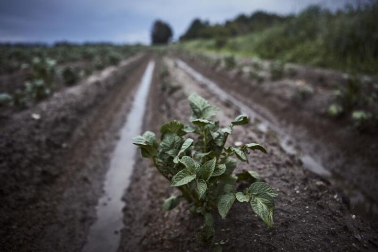 Las lluvias y tormentas pondrán mañana en riesgo a buena parte de la mitad norte peninsular