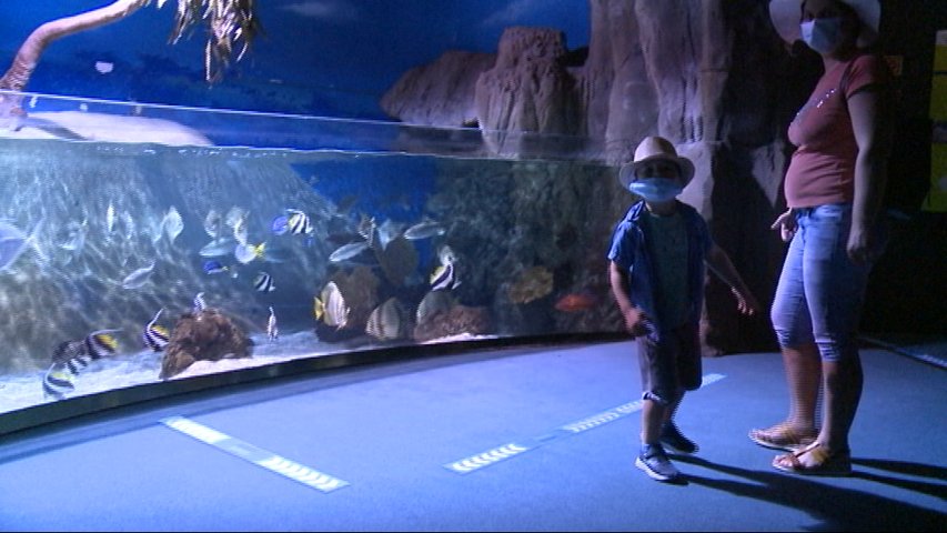 Acuario de Gijón