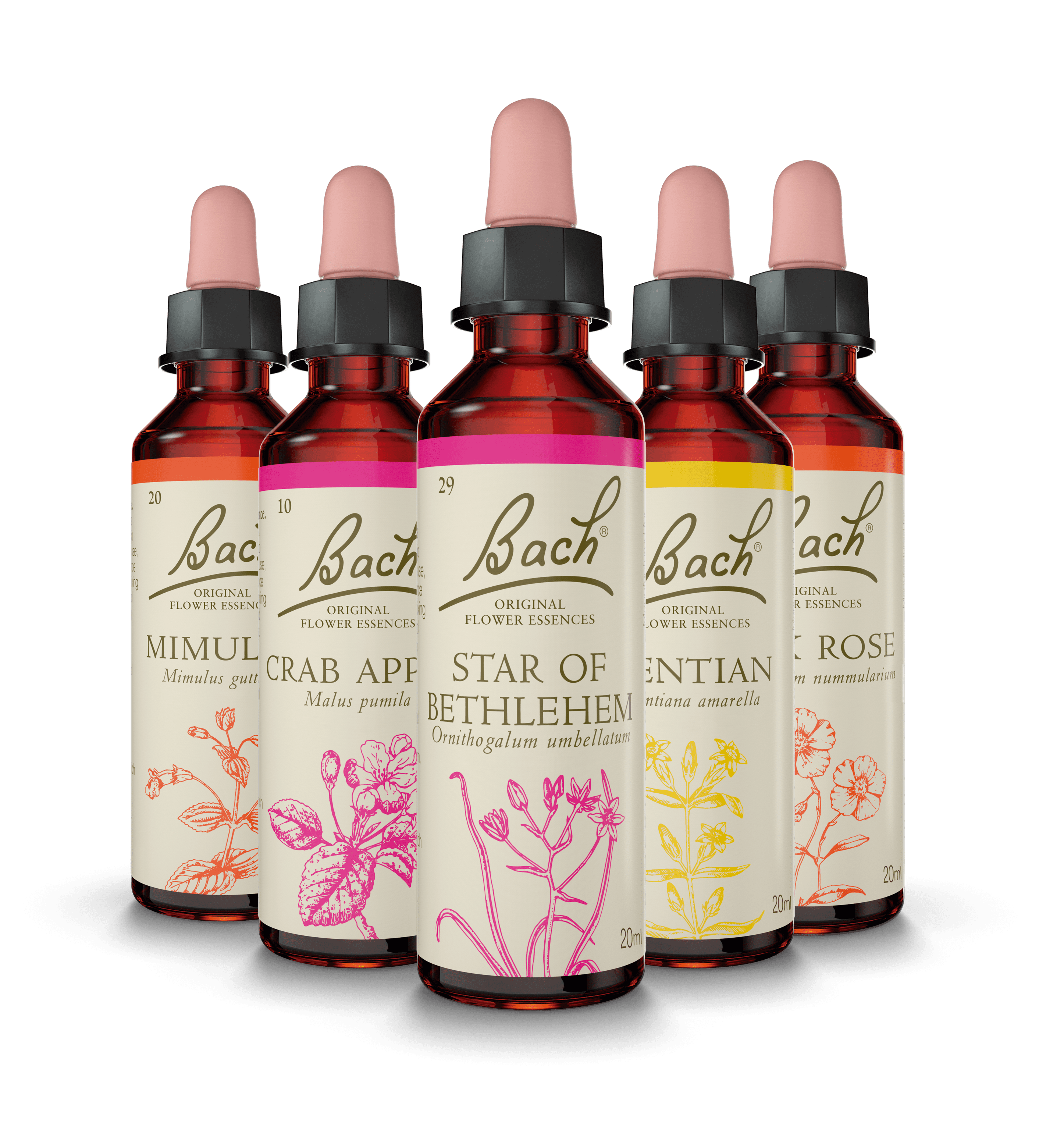 Las Flores de Bach® Originales ayudan a gestionar las emociones 1 BODEGON flacon 5 2022 comunicae