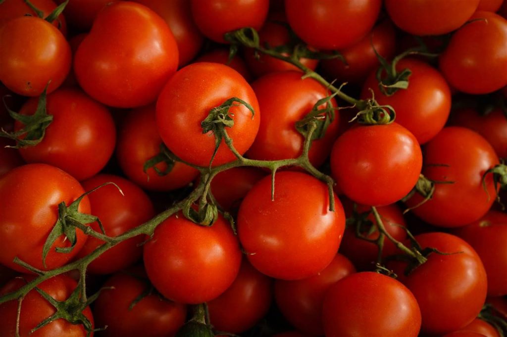 Cómo Hacer Una Ensalada De Lentejas Con Atún Rica Y Saludable