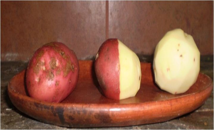 Idea # 7. Es la noche para dormir con patatas