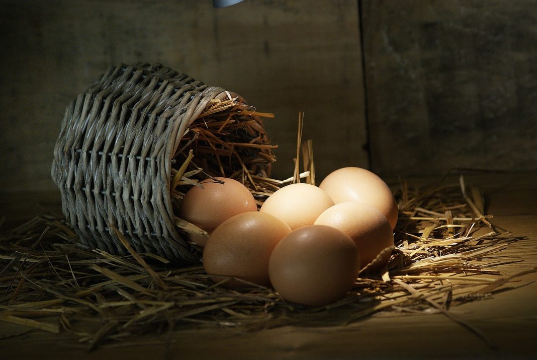 La OCU lo aclara así debes pelar los huevos para que sea seguro