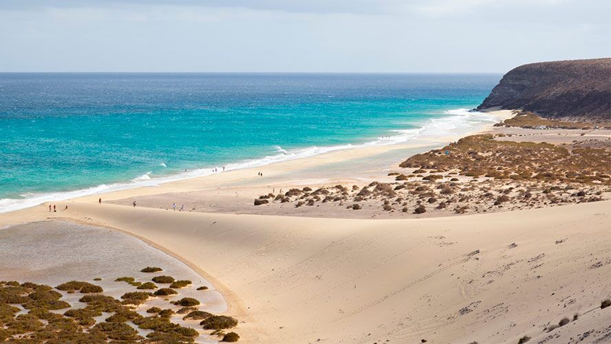 Playa de Sotavento en Fuerteventura