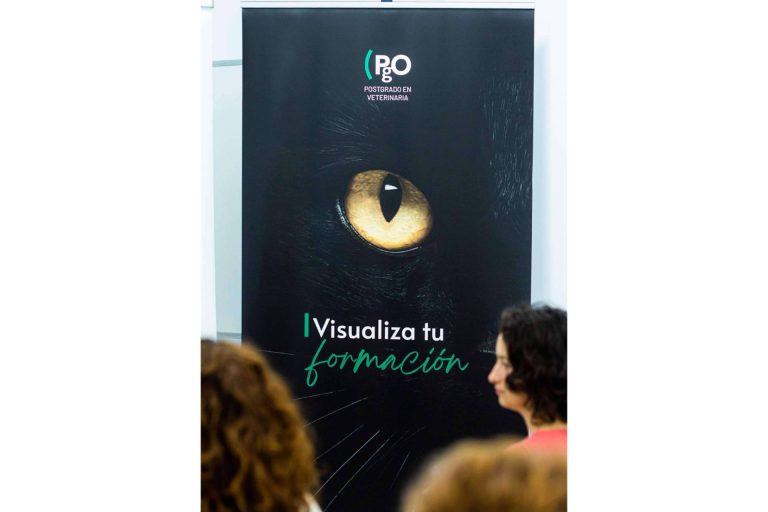 PgO Veterinaria apuesta por la calidad y vanguardia para sus postgrados