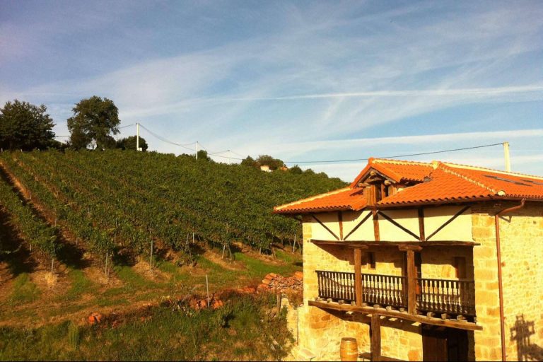 Una historia de amor y respeto por el vino y la ‘tierruca’, Bodegas Vidular