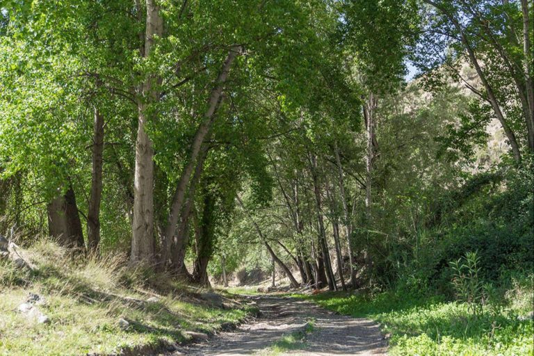 Las actividades a realizar en un viaje de turismo rural al interior de Almería