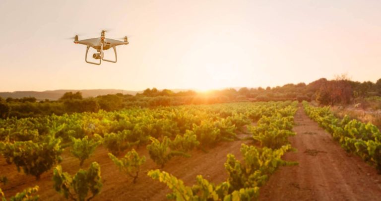 Obtención de licencias para el uso de drones, con What The Quad