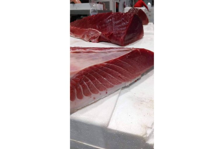 En Pescadería Younes Ceuta, se garantiza la calidad del género a precios asequibles