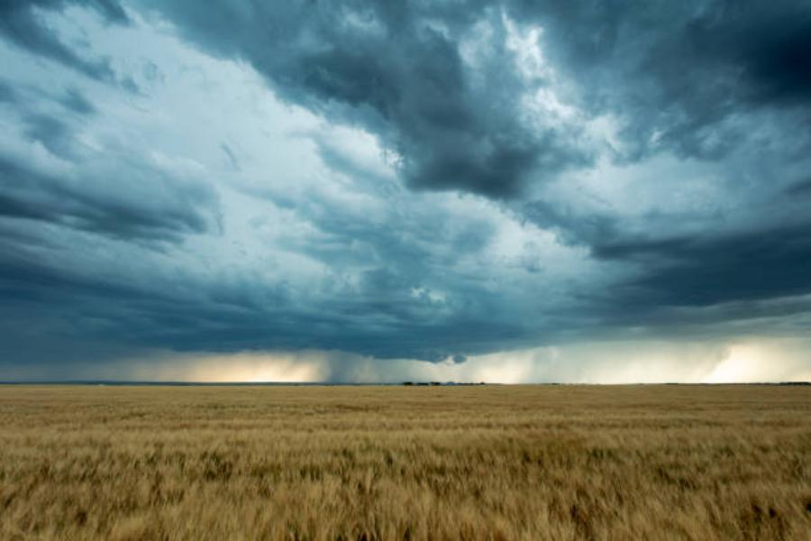 La Aemet Y Su Pronóstico Más Reciente