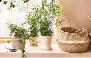 Las mejores propuestas de Ikea para montarte tu propio rincón zen